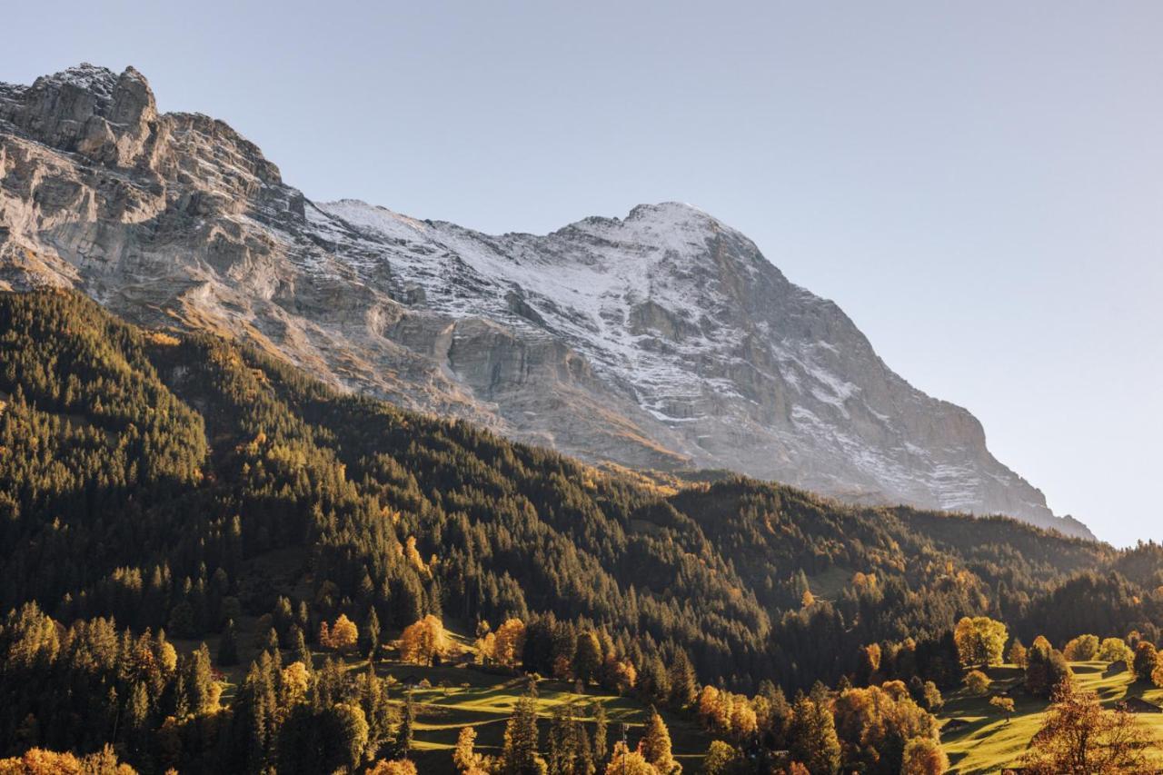 Hotel Fiescherblick Grindelwald Exterior photo